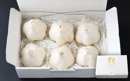 芳醇な香りと上質な風味を探求！北海道 十勝 中札内村 鎌田農園の至高にんにく 大玉 （Lサイズ） 6個入り にんにく ニンニク 大蒜 【2025年10月上旬～2026年4月上旬に順次発送予定】  [020-0024x1]