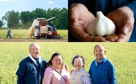 芳醇な香りと上質な風味を探求！北海道 十勝 中札内村 鎌田農園の至高にんにく 大玉 （Lサイズ） 6個入り にんにく ニンニク 大蒜 【2025年10月上旬～2026年4月上旬に順次発送予定】  [020-0024x1]