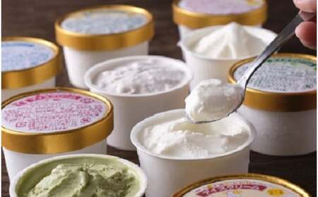 十勝産生乳の旨み！ジェラートアイスクリーム　7種14個セット[C1-9C]