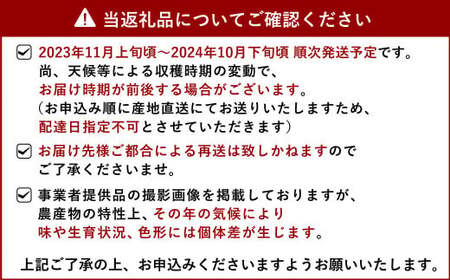 米 白米 精米 10㎏ 送料無料 森のくまさん 精米 約10kg 令和5年産 お米 コメ ごはん ご飯 国産 熊本県産 九州 熊本県 宇城市 【11月上旬～順次発送予定】【令和5年産】森のくまさん 精米 約10kg