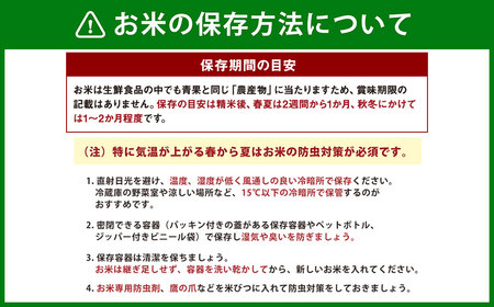 米 白米 精米 10㎏ 送料無料 森のくまさん 精米 約10kg 令和5年産 お米 コメ ごはん ご飯 国産 熊本県産 九州 熊本県 宇城市 【11月上旬～順次発送予定】【令和5年産】森のくまさん 精米 約10kg