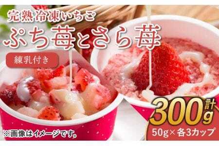 いちご 冷凍 50g×6カップ(300g) 練乳 完熟 冷凍 いちご 「ぷち苺」 と 「さら苺」 各3カップ 合計6カップ(300g) 練乳付き 1本(120g) 園村苺園 熊本県産冷凍いちご 宇城市産冷凍いちご 九州産冷凍いちご