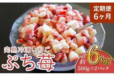 いちご 【6ヶ月定期便】冷凍いちご 1㎏ (500g×2パック) 【定期便6ヶ月】完熟冷凍いちご「ぷち苺」1kg 500g×2パック 園村苺園 熊本県産冷凍いちご 宇城市産冷凍いちご 九州産冷凍いちご