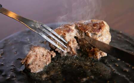 阿蘇あか牛ハンバーグ 4個 合計400g ハンバーグ あか牛１００％ハンバーグ あか牛ハンバーグ 熊本ハンバーグ