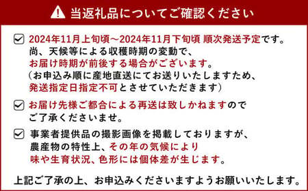 みかん 【先行予約】早生みかん（デリシャス）約5kg 【11月上旬から11月下旬発送予定】