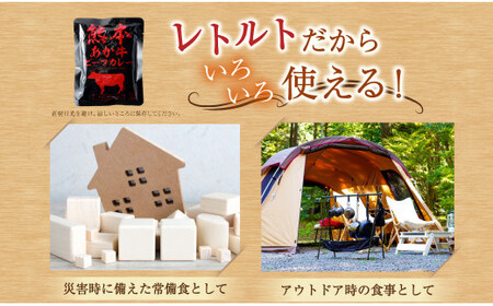 くまもと あか牛 ビーフカレー 15人前 