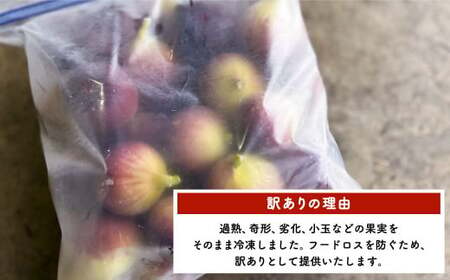 訳あり イチジク ハウスイチジク 冷凍 約1.5kg 【合同会社宝Farm】 