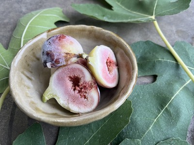 訳あり イチジク ハウスイチジク 冷凍 約3kg 【合同会社宝Farm】