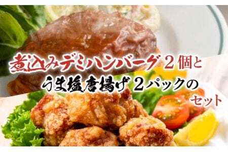 煮込み デミグラス ハンバーグ うま塩 から揚げ セット熊本県産ハンバーグ 牛肉ハンバーグ 国産牛ハンバーグ デミグラスハンバーグ