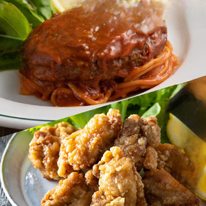 煮込み デミグラス ハンバーグ うま塩 から揚げ セット熊本県産ハンバーグ 牛肉ハンバーグ 国産牛ハンバーグ デミグラスハンバーグ