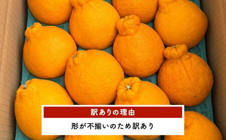 【先行予約】訳あり ハウス 不知火 約3kg【合同会社宝Farm】【2025年1月下旬から3月上旬発送予定】 不知火デコポン デコポンの品種名が不知火 デコポン® デコポンはJA熊本果実連の登録商標 デコポン発祥の地