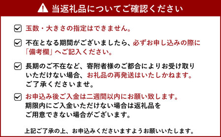 【先行予約】訳あり ハウス 不知火 約3kg【合同会社宝Farm】【2025年1月下旬から3月上旬発送予定】 不知火デコポン デコポンの品種名が不知火 デコポン® デコポンはJA熊本果実連の登録商標 デコポン発祥の地