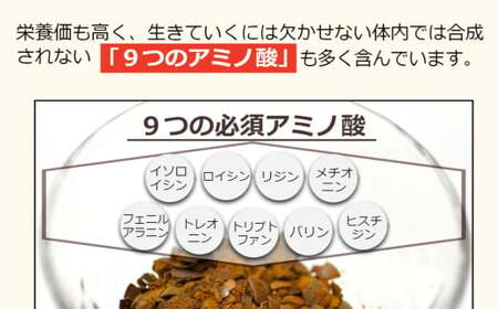 ムクナ豆 焙煎茶 60g×2パック 合計40包 ムクナ豆茶 ムクナ豆 お茶 茶 ティーパック