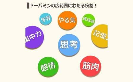 ムクナ豆 焙煎茶 60g×2パック 合計40包 ムクナ豆茶 ムクナ豆 お茶 茶 ティーパック