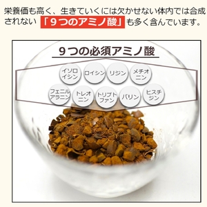 ムクナ豆 焙煎茶 60g×4パック 合計80包 ムクナ豆茶 ムクナ豆 お茶 茶 ティーパック 八升豆茶