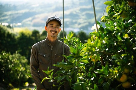  温室ハウス栽培 プレミアム 完熟 不知火（化粧箱入り）3kg 髙橋果樹園