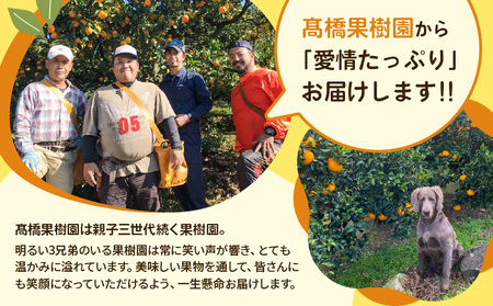 先行予約 完熟 不知火 (化粧箱入り) 約3kg 髙橋果樹園【2026年2月上旬から3月下旬発送予定】