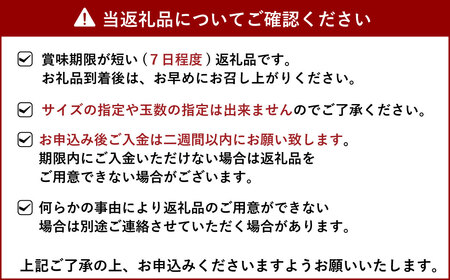 先行予約 完熟 不知火 約7kg 髙橋果樹園【2025年2月上旬から3月下旬発送予定】柑橘 かんきつ 宇城市産 不知火デコポン®  デコポンの品種名が不知火 デコポン® デコポンはJA熊本果実連の登録商標 デコポン発祥の地