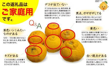 先行予約 完熟 不知火 約5kg 不揃い キズあり ご家庭用 髙橋果樹園 2026年2月上旬から3月下旬発送予定