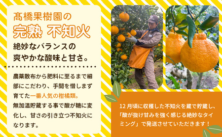先行予約 完熟 不知火 約5kg 不揃い キズあり ご家庭用 髙橋果樹園 2026年2月上旬から3月下旬発送予定