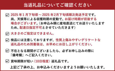 訳あり 不知火 8kg 規格外 サイズ不選別【2025年1月下旬～2月下旬発送予定】  柑橘 訳アリ 不知火デコポン®  デコポンの品種名が不知火 デコポン® デコポンはJA熊本果実連の登録商標 デコポン発祥の地