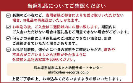 訳あり 不知火 8kg 規格外 サイズ不選別【2025年1月下旬～2月下旬発送予定】  柑橘 訳アリ 不知火デコポン®  デコポンの品種名が不知火 デコポン® デコポンはJA熊本果実連の登録商標 デコポン発祥の地