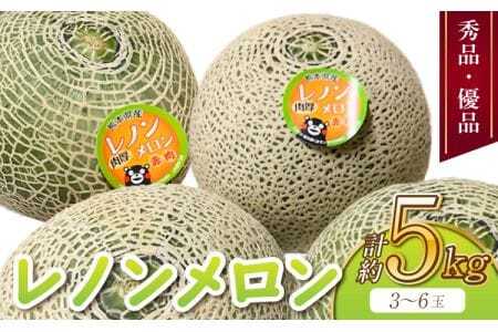 【先行予約】 メロン レノンメロン 約5kg 3〜6玉 【2026年4月上旬〜5月下旬発送予定】秀品 優品 赤肉メロン 国産 九州 熊本県 宇城市