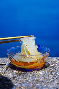 熊本県産 ところてん (タレ付き) 6個入 1個400g