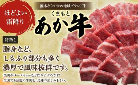 地元ブランド くまもとあか牛ハンバーグ 140g × 10個 計1400g 熊本県産ハンバーグ 牛肉ハンバーグ あか牛ハンバーグ 牛ハンバーグ