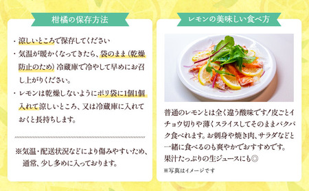 レモン 食べるレモン スイートレモネード 約2kg（15～25玉）