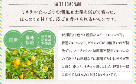  レモン 食べるレモン スイートレモネード 約3kg（20～30玉）