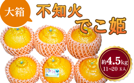 不知火 でこ姫 大箱 約4.5kg（11～20玉）【2026年2月中旬～2026年5月下旬発送】吉田レモニー