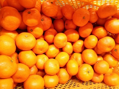 みかん 愛紅小町 あいかちゃん 約3kg 25~35玉 吉田レモニー 2025年10月上旬~2026年1月下旬発送