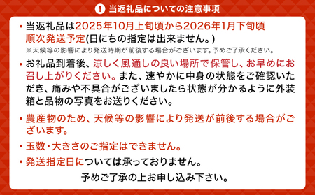 みかん 愛紅小町 あいかちゃん 約3kg 25~35玉 吉田レモニー 2025年10月上旬~2026年1月下旬発送