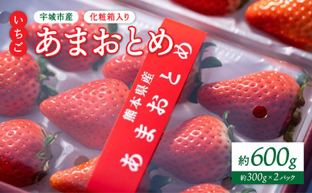 【先行予約】 【2026年3月発送】 いちご 化粧箱入り あまおとめ 約600g（約300g×2パック） 6,480円