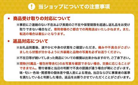 【先行予約】山口果樹園 訳あり 不知火  約5kg L～3L混合【2026年2月上旬から4月上旬発送予定】