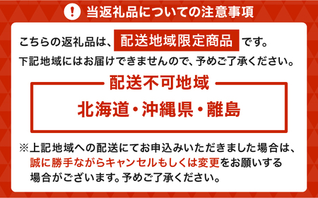 いちご 先行予約 【2026年2月発送】季節限定! 新鮮朝摘みいちご「さがほのか」約1.5kg (250g×6パック