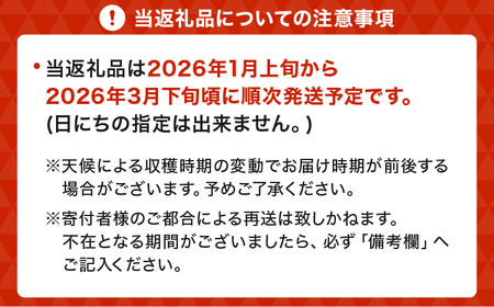 いちご 先行予約 【2026年3月発送】季節限定! 新鮮朝摘みいちご「さがほのか」約1.5kg (250g×6パック)