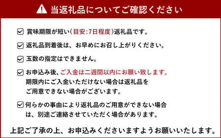 雑誌「MORE」掲載商品 不知火 5kg 【松川果樹園】【2025年3月上旬から4月下旬発送予定】しらぬい 柑橘 不知火デコポン®  デコポンの品種名が不知火 デコポン® デコポンはJA熊本果実連の登録商標 デコポン発祥の地