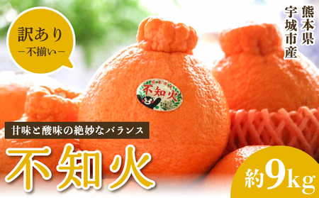 先行予約 不知火訳あり約 9kg 約30〜40玉 雑誌MORE掲載 松川果樹園