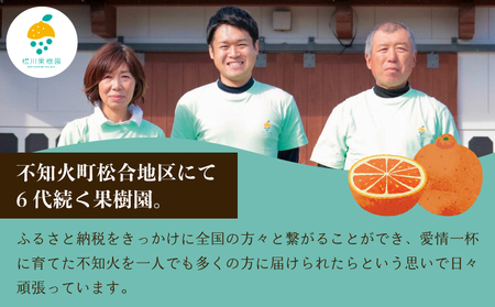 先行予約 不知火訳あり約 9kg 約30〜40玉 雑誌MORE掲載 松川果樹園
