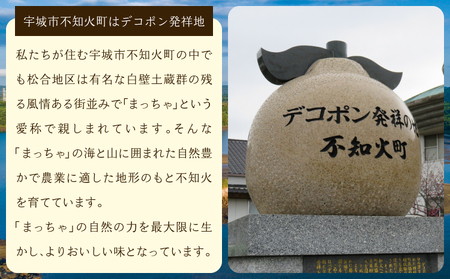 先行予約 不知火訳あり約 9kg 約30〜40玉 雑誌MORE掲載 松川果樹園