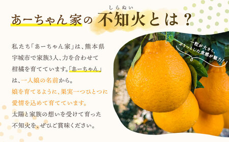 【先行予約】不知火 あーちゃん家の不知火 5kg 【2026年4月上旬~5月下旬発送予定】