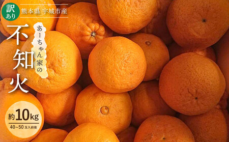 あいちゃんパール柑 M 10kg 不知火 10kg 先行予約】 不知火 あーちゃん家の不知火 訳あり 10kg 約40〜50