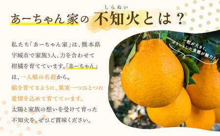 あいちゃんパール柑 M 10kg 不知火 10kg 先行予約】 不知火 あーちゃん家の不知火 訳あり 10kg 約40〜50