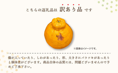  不知火 あーちゃん家の不知火 訳あり 10kg 約40〜50玉前後