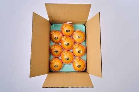 先行予約 不知火 果実の宝箱デコ柑不知火 約2.5kg 7玉〜12玉 2026年3月上旬から5月下旬発送予定 田辺農園