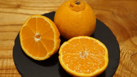 不知火 約8kg 25個前後 2026年2月上旬から3月下旬発送予定 ひでみかん