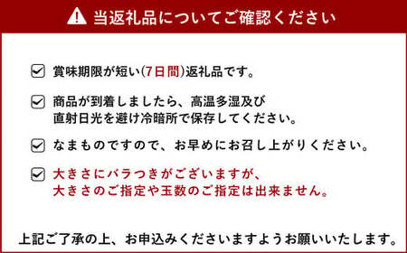 不知火 【先行予約】 不知火訳あり 約8kg 【2025年2月下旬から4月上旬発送予定】しらぬい 柑橘不知火 みかん 蜜柑 ミカン 熊本県不知火 宇城市産不知火不知火デコポン®  デコポンの品種名が不知火 デコポン® デコポンはJA熊本果実連の登録商標 デコポン発祥の地