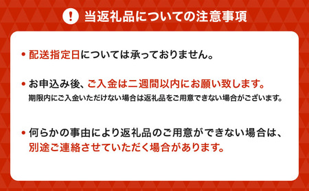 先行予約 不知火 恋する不知火 約5kg 御舩果樹園 【2026年4月上旬から2026年6月下旬発送予定】
